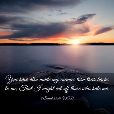 Picture 03 - 2 Samuel 22:41 WEB - You have also made my enemies turn their backs to - Bible Verse Picture