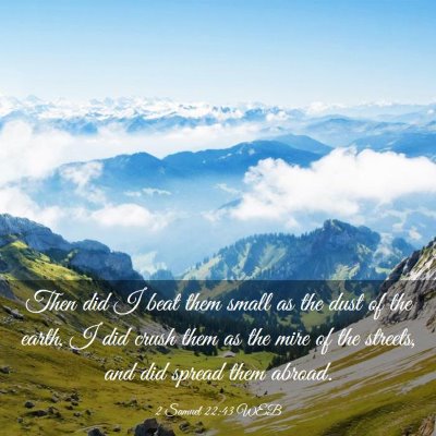 Picture 03 - 2 Samuel 22:43 WEB - Then did I beat them small as the dust of the - Bible Verse Picture