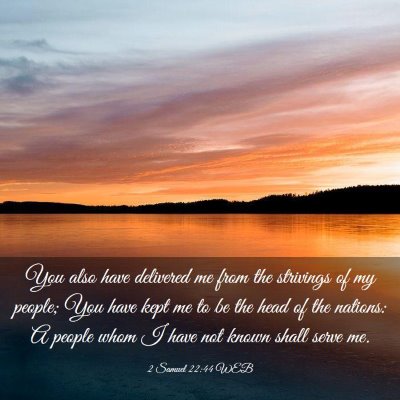Picture 03 - 2 Samuel 22:44 WEB - You also have delivered me from the strivings of - Bible Verse Picture