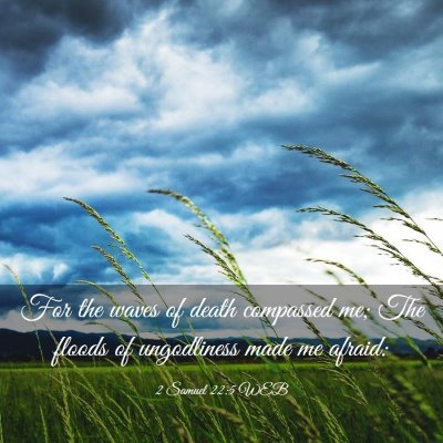 Picture 03 - 2 Samuel 22:5 WEB - For the waves of death compassed me; The floods - Bible Verse Picture