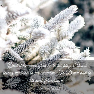 Picture 03 - 2 Samuel 22:51 WEB - Great deliverance gives he to his king, Shows - Bible Verse Picture