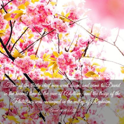 Picture 03 - 2 Samuel 23:13 WEB - Three of the thirty chief men went down, and came - Bible Verse Picture