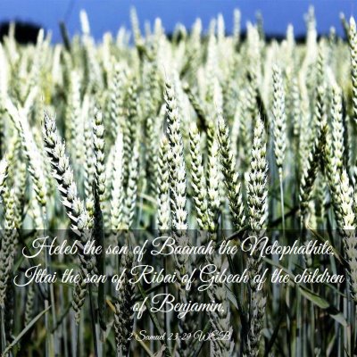 Picture 03 - 2 Samuel 23:29 WEB - Heleb the son of Baanah the Netophathite, Ittai - Bible Verse Picture