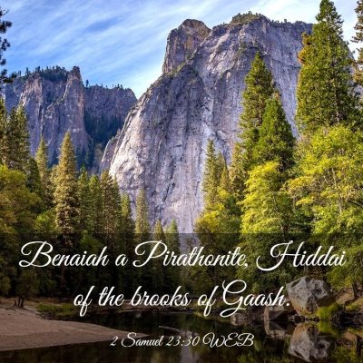 Picture 03 - 2 Samuel 23:30 WEB - Benaiah a Pirathonite, Hiddai of the brooks of - Bible Verse Picture