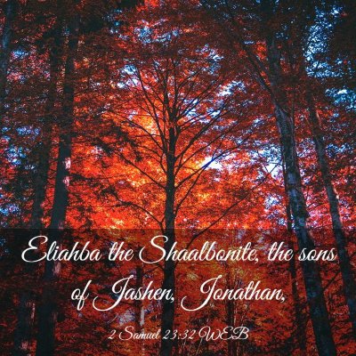 Picture 03 - 2 Samuel 23:32 WEB - Eliahba the Shaalbonite, the sons of Jashen, - Bible Verse Picture