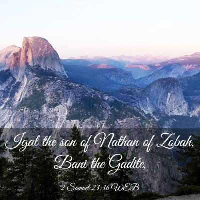 Picture 03 - 2 Samuel 23:36 WEB - Igal the son of Nathan of Zobah, Bani the - Bible Verse Picture