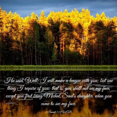 Picture 03 - 2 Samuel 3:13 WEB - He said, Well; I will make a league with you; but - Bible Verse Picture