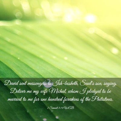 Picture 03 - 2 Samuel 3:14 WEB - David sent messengers to Ish-bosheth, Saul's son, - Bible Verse Picture