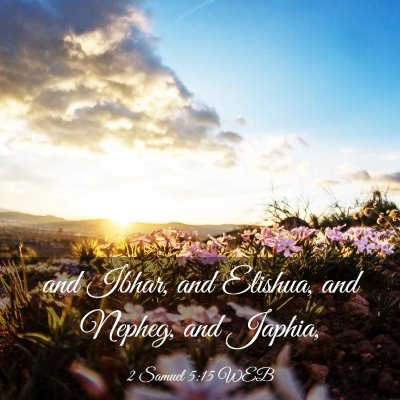 Picture 03 - 2 Samuel 5:15 WEB - and Ibhar, and Elishua, and Nepheg, and - Bible Verse Picture
