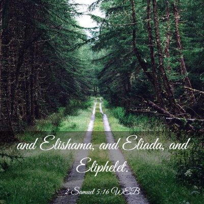 Picture 03 - 2 Samuel 5:16 WEB - and Elishama, and Eliada, and - Bible Verse Picture