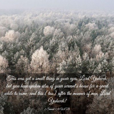 Picture 03 - 2 Samuel 7:19 WEB - This was yet a small thing in your eyes, Lord - Bible Verse Picture