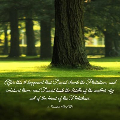 Picture 03 - 2 Samuel 8:1 WEB - After this it happened that David struck the - Bible Verse Picture