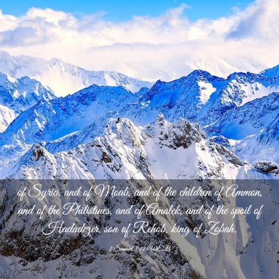Picture 03 - 2 Samuel 8:12 WEB - of Syria, and of Moab, and of the children of - Bible Verse Picture