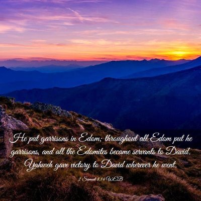 Picture 03 - 2 Samuel 8:14 WEB - He put garrisons in Edom; throughout all Edom put - Bible Verse Picture