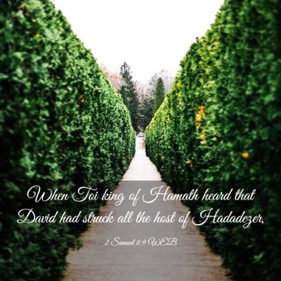 Picture 03 - 2 Samuel 8:9 WEB - When Toi king of Hamath heard that David had - Bible Verse Picture