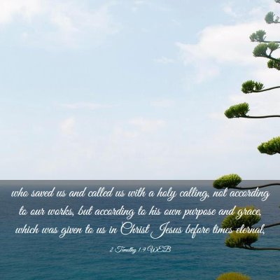 Picture 03 - 2 Timothy 1:9 WEB - who saved us and called us with a holy calling, - Bible Verse Picture