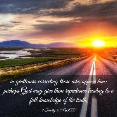 Picture 03 - 2 Timothy 2:25 WEB - in gentleness correcting those who oppose him: - Bible Verse Picture