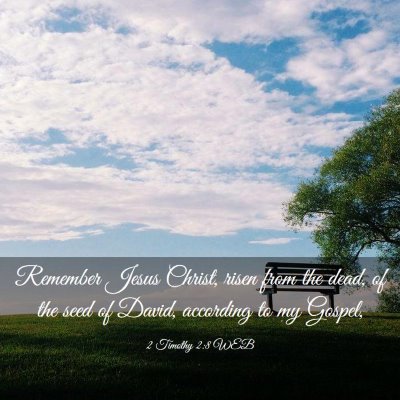Picture 03 - 2 Timothy 2:8 WEB - Remember Jesus Christ, risen from the dead, of - Bible Verse Picture