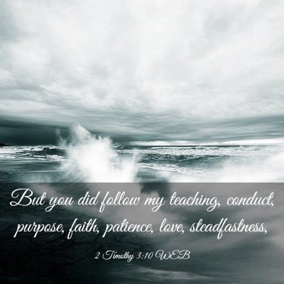 Picture 03 - 2 Timothy 3:10 WEB - But you did follow my teaching, conduct, purpose, - Bible Verse Picture