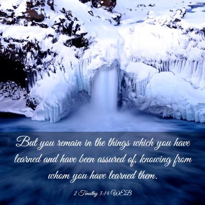 Picture 03 - 2 Timothy 3:14 WEB - But you remain in the things which you have - Bible Verse Picture