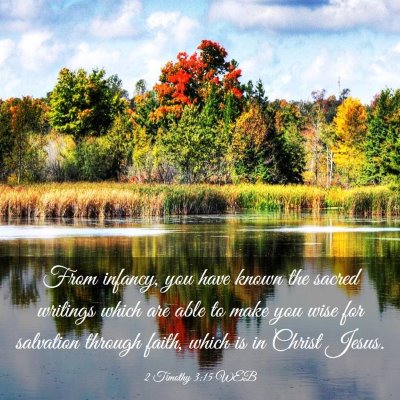 Picture 03 - 2 Timothy 3:15 WEB - From infancy, you have known the sacred writings - Bible Verse Picture