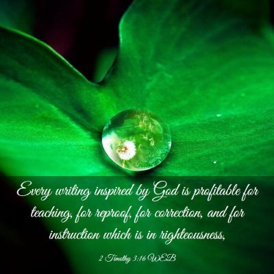 Picture 03 - 2 Timothy 3:16 WEB - Every writing inspired by God is profitable for - Bible Verse Picture