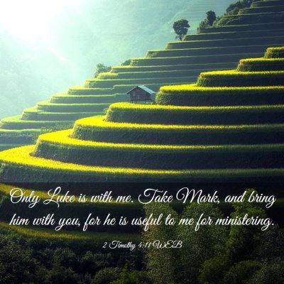 Picture 03 - 2 Timothy 4:11 WEB - Only Luke is with me. Take Mark, and bring him - Bible Verse Picture