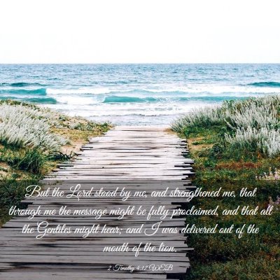 Picture 03 - 2 Timothy 4:17 WEB - But the Lord stood by me, and strengthened me, - Bible Verse Picture