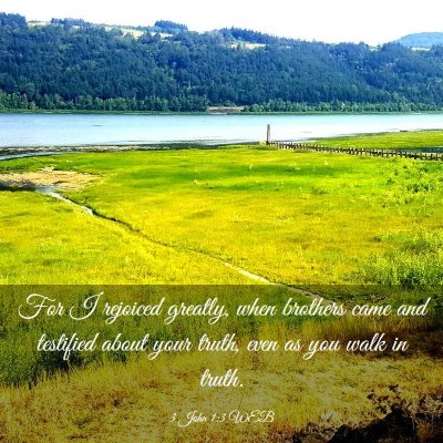 Picture 03 - 3 John 1:3 WEB - For I rejoiced greatly, when brothers came and - Bible Verse Picture