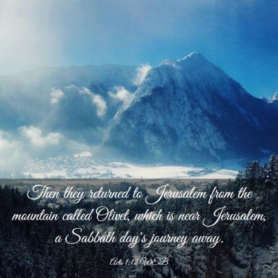 Picture 03 - Acts 1:12 WEB - Then they returned to Jerusalem from the mountain - Bible Verse Picture