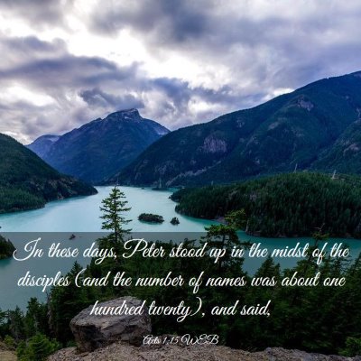 Picture 03 - Acts 1:15 WEB - In these days, Peter stood up in the midst of the - Bible Verse Picture