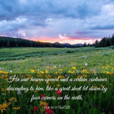 Picture 03 - Acts 10:11 WEB - He saw heaven opened and a certain container - Bible Verse Picture