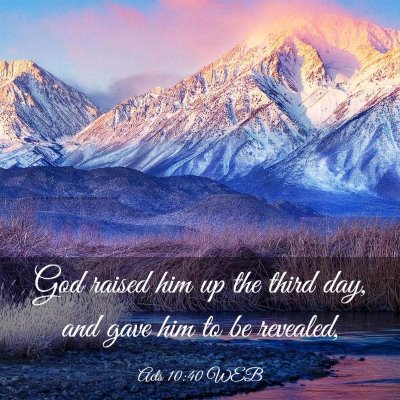 Picture 03 - Acts 10:40 WEB - God raised him up the third day, and gave him to - Bible Verse Picture