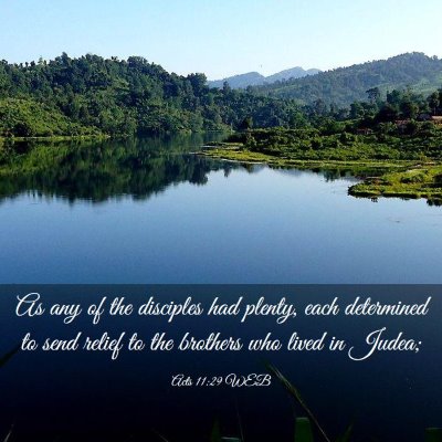 Picture 03 - Acts 11:29 WEB - As any of the disciples had plenty, each - Bible Verse Picture