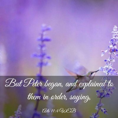 Picture 03 - Acts 11:4 WEB - But Peter began, and explained to them in order, - Bible Verse Picture