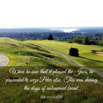 Picture 03 - Acts 12:3 WEB - When he saw that it pleased the Jews, he - Bible Verse Picture