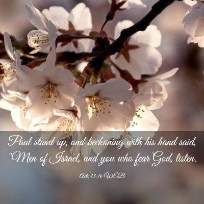 Picture 03 - Acts 13:16 WEB - Paul stood up, and beckoning with his hand said, - Bible Verse Picture
