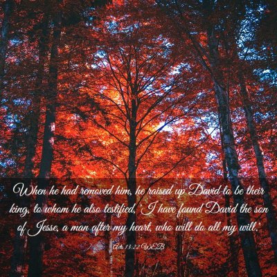 Picture 03 - Acts 13:22 WEB - When he had removed him, he raised up David to be - Bible Verse Picture