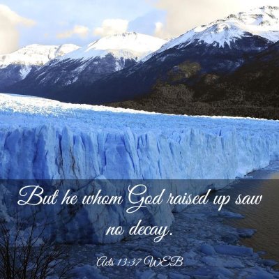 Picture 03 - Acts 13:37 WEB - But he whom God raised up saw no - Bible Verse Picture
