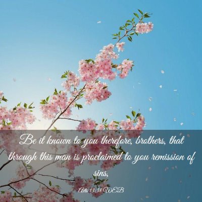 Picture 03 - Acts 13:38 WEB - Be it known to you therefore, brothers, that - Bible Verse Picture