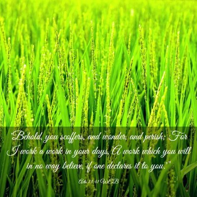 Picture 03 - Acts 13:41 WEB - 'Behold, you scoffers, and wonder, and perish; - Bible Verse Picture