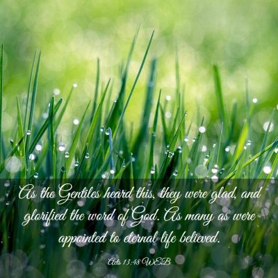 Picture 03 - Acts 13:48 WEB - As the Gentiles heard this, they were glad, and - Bible Verse Picture