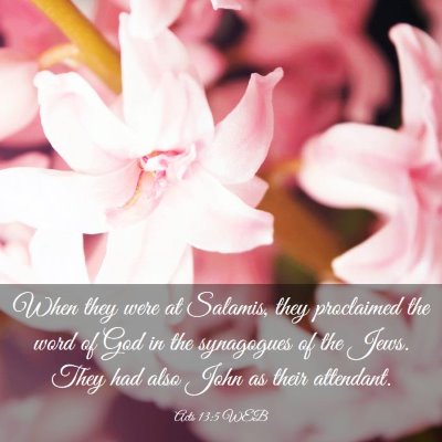 Picture 03 - Acts 13:5 WEB - When they were at Salamis, they proclaimed the - Bible Verse Picture