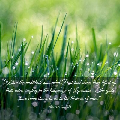 Picture 03 - Acts 14:11 WEB - When the multitude saw what Paul had done, they - Bible Verse Picture