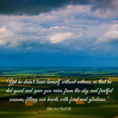 Picture 03 - Acts 14:17 WEB - Yet he didn't leave himself without witness, in - Bible Verse Picture