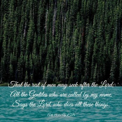 Picture 03 - Acts 15:17 WEB - That the rest of men may seek after the Lord; All - Bible Verse Picture