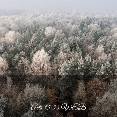 Picture 03 - Acts 15:34 WEB -  - Bible Verse Picture