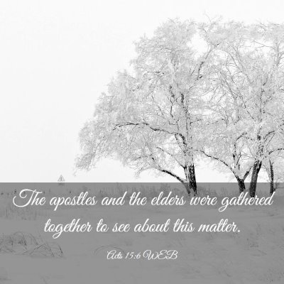 Picture 03 - Acts 15:6 WEB - The apostles and the elders were gathered - Bible Verse Picture