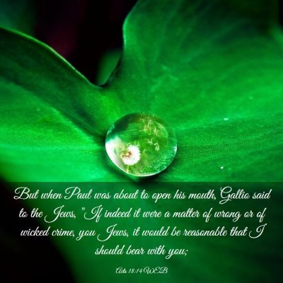 Picture 03 - Acts 18:14 WEB - But when Paul was about to open his mouth, Gallio - Bible Verse Picture