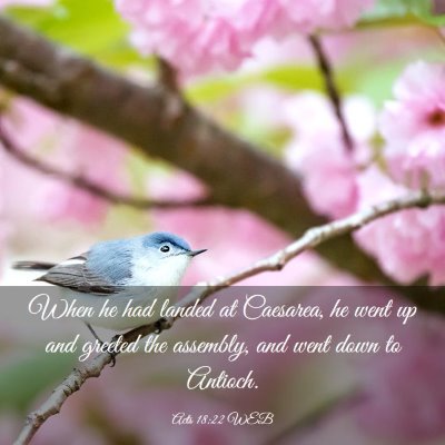 Picture 03 - Acts 18:22 WEB - When he had landed at Caesarea, he went up and - Bible Verse Picture